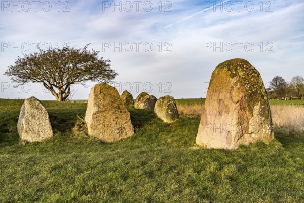 The Nobbin megalithic tomb, Putgarten, Ruegen Island, Mecklenburg-Western Pomerania, Germany, Europe