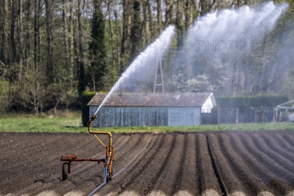 Artificial irrigation of a potato field in April, with a sprinkler system, long drought in spring makes this necessary, for the total of 7.5 hectares 3 full days are needed to get the necessary moisture for the freshly sown potato plants, south of Straelen, Lower Rhine, North Rhine-Westphalia, Germany, Europe