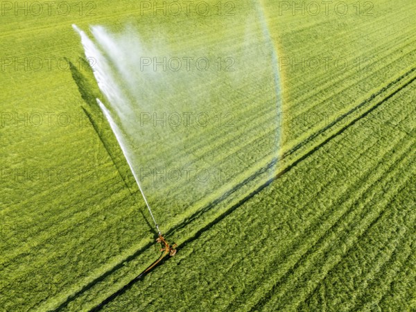 Artificial irrigation of a cereal field in April, with a sprinkler system, long dry spell in spring makes this necessary for the young plants to grow well, Kerken, Lower Rhine, North Rhine-Westphalia, Germany, Europe