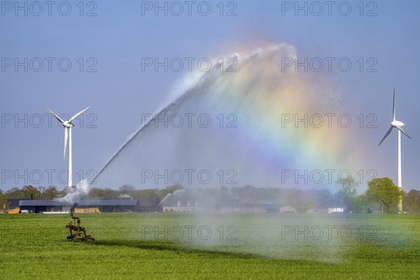 Artificial irrigation of a cereal field in April, with a sprinkler system, long dry spell in spring makes this necessary for the young plants to grow well, Kerken, Lower Rhine, North Rhine-Westphalia, Germany, Europe
