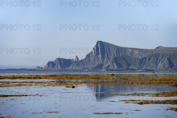 View of coastal landscape with reflection, steep coast with peak Måtind, Andøya island, Vesterålen, Nordland Norway