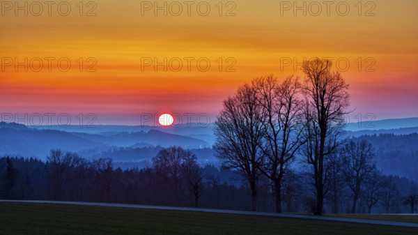 Atmospheric landscape with trees and a glowing sunset on the horizon, Hocheck