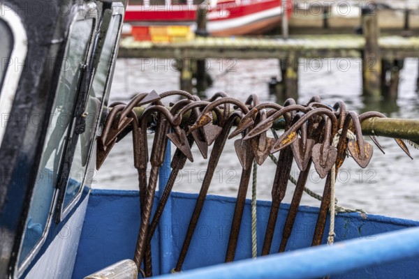 Fishing boats in the town harbour of Sassnitz, island of Rügen, Netzanker, Mecklenburg-Vorpommern, Germany, Europe