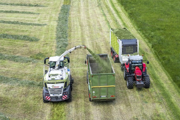 Hay harvest, on a Rhine meadow near Duisburg-Beeckerwerth, a forage harvester picks up the cut grass, which was piled up in strips after cutting, and loads it into a silage wagon, cattle feed, North Rhine-Westphalia, Germany, Europe