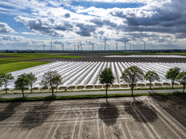 Agriculture, large areas with foil tunnel, for the cultivation of strawberries, freshly cultivated fields, wind farm, south of Lövenich, belongs to Erkelenz, in the district of Heinsberg