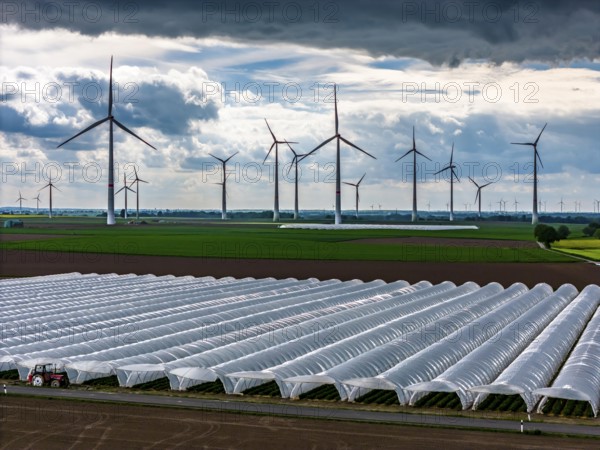 Agriculture, large areas with foil tunnel, for the cultivation of strawberries, freshly cultivated fields, wind farm, south of Lövenich, belongs to Erkelenz, in the district of Heinsberg