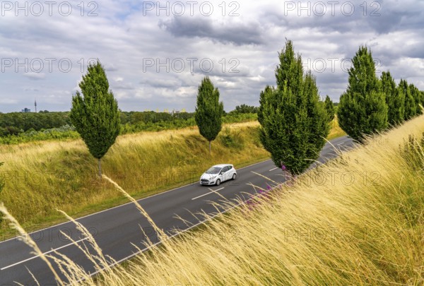 Dorstfelder Allee in Dortmund, completely new road built in 2013, former farmland, in the Dorstfeld district, Tuscany-style tree avenue with 92 new trees, North Rhine-Westphalia, Germany, Europe