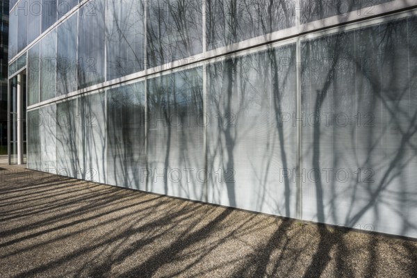 Modern architecture, office building, architects Sejima & Nishizawa (SANAA), Novartis Campus, Basel, Canton of Basel-Stadt, Switzerland, Europe