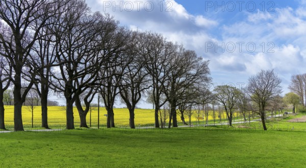 Landscape on Rügen, Mecklenburg-Western Pomerania, Germany, Europe