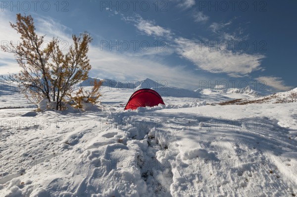 Tent in mountain landscape, Sarek National Park, Laponia World Heritage Site, Norrbotten, Lapland, Sweden, snowy landscape, winter, Scandinavia, Europe