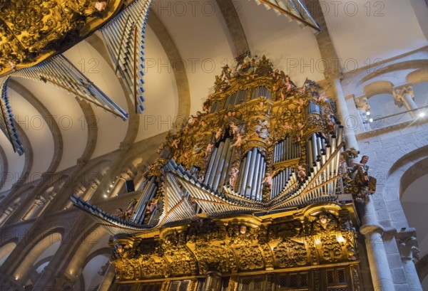 Baroque organ with lavish golden decorations in a sacred interior, cathedral, Santiago de Compostela, autonomous community of Galicia, place of pilgrimage, destination of the Way of St James, Spain, Europe