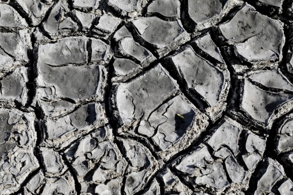 The bottom of a dried-up fish pond in Reckahn in Brandenburg looks like parched desert soil. The Plane, a river that usually fills the fish ponds with water, is dry and no longer carries any water, Reckahn, 09/08/2022