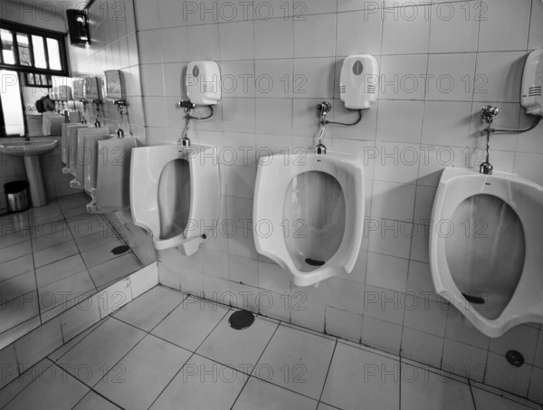 Toilet facility with urinals, cactus garden, Jardin de Cactus, designed by the artist César Manrique, Lanzarote, Canary Islands, Canary Islands, Spain, Europe