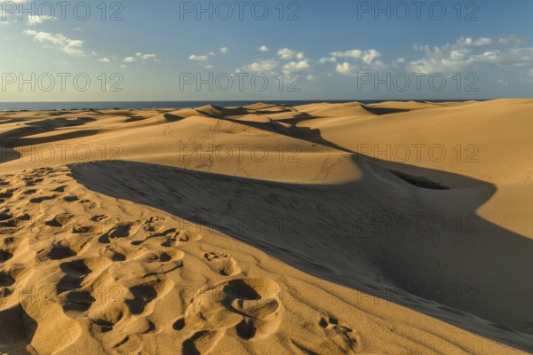 Dunes of Maspalomas, Maspalomas, Gran Canaria, Canary Islands, Spain, Maspalomas, Gran Canaria, Canary Islands, Spain, Europe