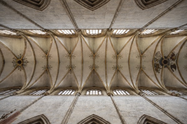 Ceiling vault of the 41.6 metre high central nave in Ulm Minster, Ulm, Baden-Württemberg, Germany, Europe