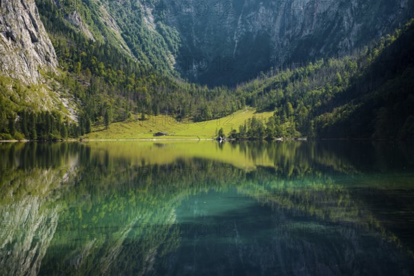 Obersee, Königssee, Schönau, Berchtesgaden National Park, Berchtesgadener Land, Upper Bavaria, Bavaria, Germany, Europe