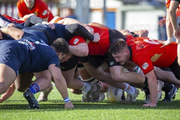 Rugby: Germany against MKS Pogon Awenta Siedlce, Poland in Heidelberg (Test match of the German national rugby team in preparation for the upcoming World Cup qualifiers. Picture: Scrum