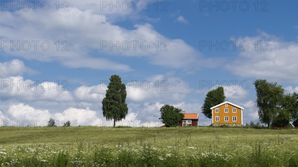 Falun red and Swedish yellow wooden house, trees, meadow, blue sky, clouds, at Lake Mjosa near Hamar, Norway, Europe