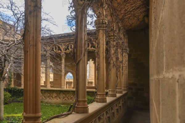 Vines creeping up the columns of a gallery in the royal palace of olite, framing the view of the courtyard garden