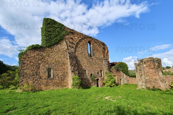 Monastery ruins, Holy Cross Monastery, Meissen, Saxony, Germany, Europe