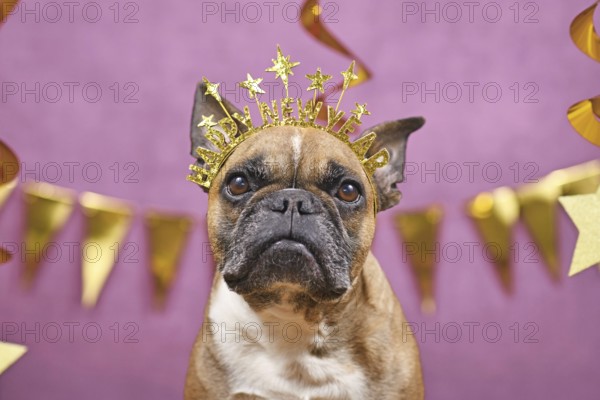 French Bulldog dog wearing New Year's Eve part headband with text 'Happy new year' in front of pink background
