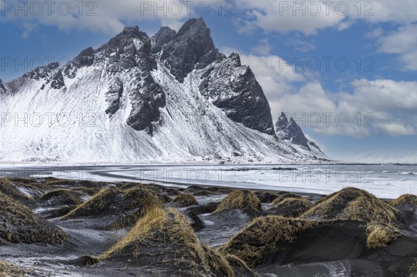 Black sand dunes with reed remains, behind them snowy rocky slopes of Vestrahorn, near Höfn, Sudausturland, Iceland, Europe