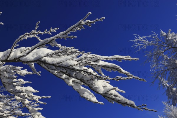 Winter landscape in the Fichtelgebirge, Bayreuth district, Upper Franconia, Bavaria, Germany, Europe