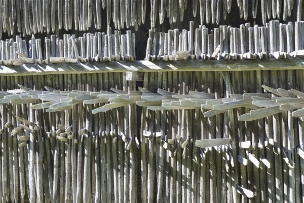 Heinzen on a barn wall, Allgäu, Bavaria, Germany, Europe