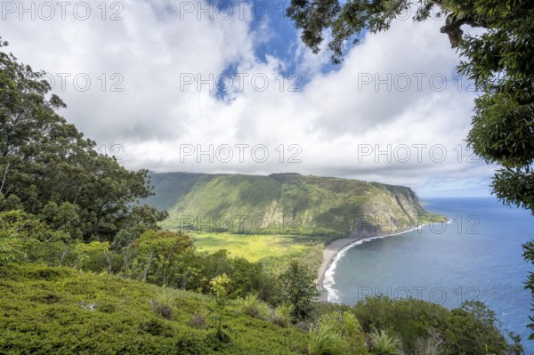 Waipi'o Valley seen from Waipi'o Valley Lookout, Big Island, Hawaii, USA, North America