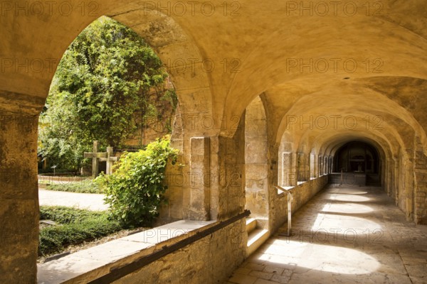 Cloister with view of the Thousand-Year Rosebush in the cemetery of St. Mary's Cathedral, Hildesheim, Lower Saxony, Germany, Europe