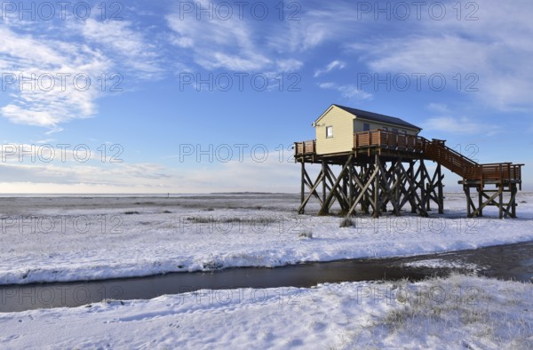 Pile dwellings in St. Peter-Ording, Schleswig-Holstein, Germany, Europe