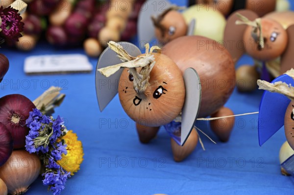 Market stall with onions in the shape of an elephant, onion market, Bern, Canton of Bern, Switzerland, Europe