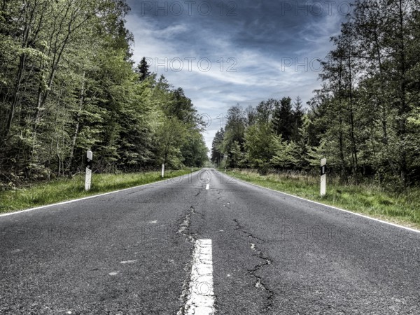Country road with central reservation leads straight on through mixed forest, Germany, Europe