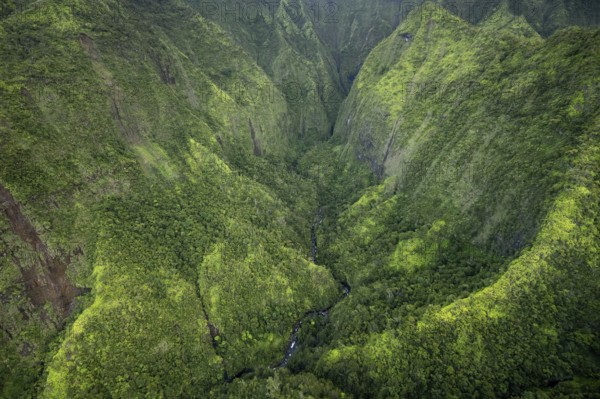 Aerial view Hanalei Valley, Kauai, Hawaii, USA, North America