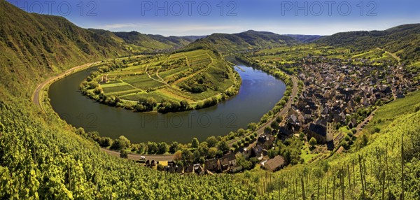 Moselle loop with vineyards and Saint Laurentius Church from the Bremmer Calmont via ferrata, Bremm, Rhineland-Palatinate, Germany, Europe