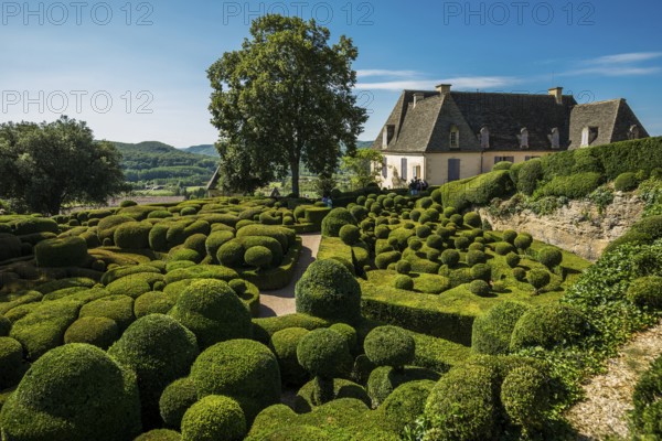 Boxwood garden, Les Jardins de Marqueyssac, Vezac, Dordogne, Périgord, Département Dordogne, Region Nouvelle-Aquitaine, France, Europe