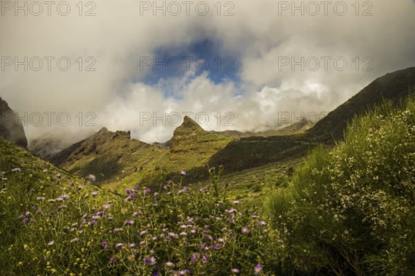 Teno Mountains, Tenerife, Canary Islands, Spain, Europe