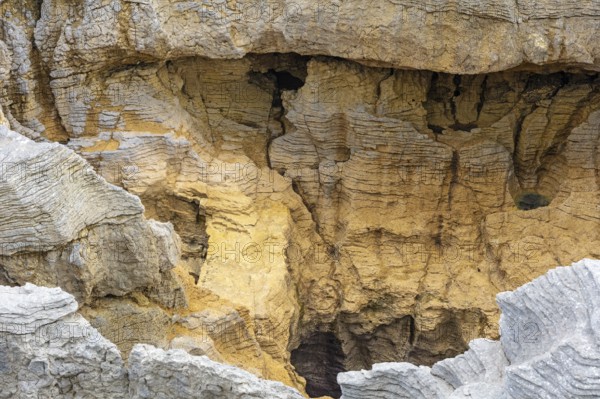 Pancake Rocks, Paparoa National Park, New Zealand, Oceania