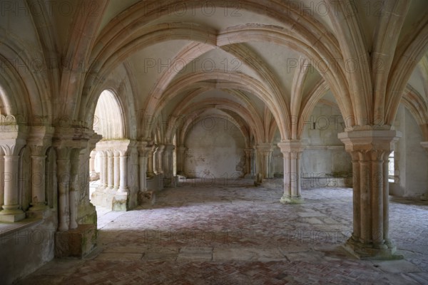 Ceiling arches, Fontenay Cistercian Abbey, Unesco World Heritage Site, Cote d'Or, Burgundy, France, Europe