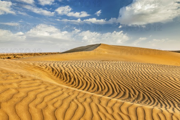 Sam Sand dunes in Thar Desert. Rajasthan, India, Asia