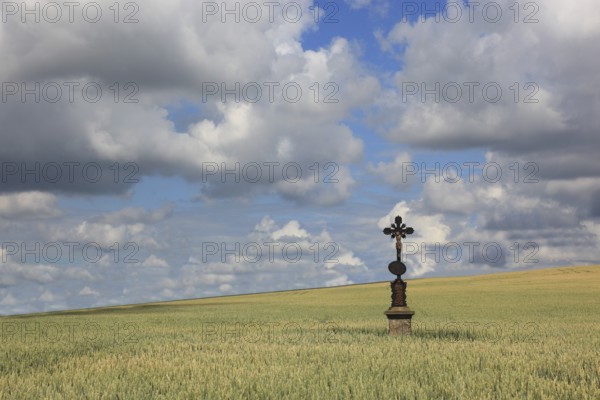 Field cross in a wheat field, near Dukovany, Czech Republic, Grain field with a lonely field cross, near Dukovany, South Moravia, Kraj Vysocina, Czech Republic, Europe