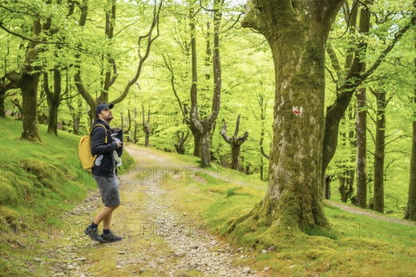 A young father walking with the newborn child in the backpack on a path in the woods heading to the picnic with the family