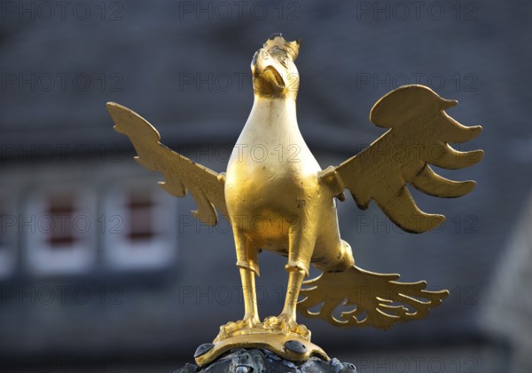 Gilded imperial eagle as a fountain eagle on the market fountain, Old Town, Goslar, UNESCO World Heritage Site, Lower Saxony, Germany, Europe