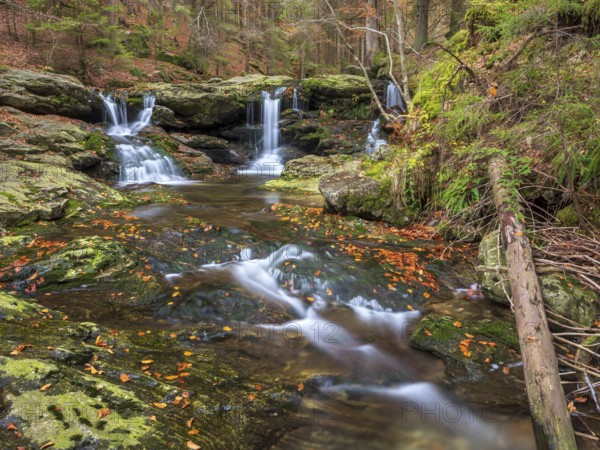 Bavarian Forest, Lower Bavaria, Bavaria, Germany, Europe