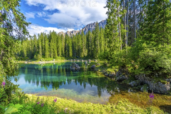 Emerald waters reflecting the majestic latemar peaks and surrounding pine forests under a blue sky with white clouds at lake carezza in the italian dolomites