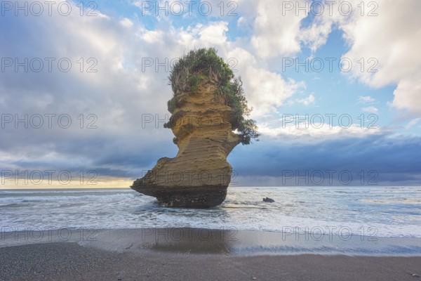 Rock formation shaped like a boot, Punakaiki, Paparoa National Park, South Island, New Zealand, Oceania