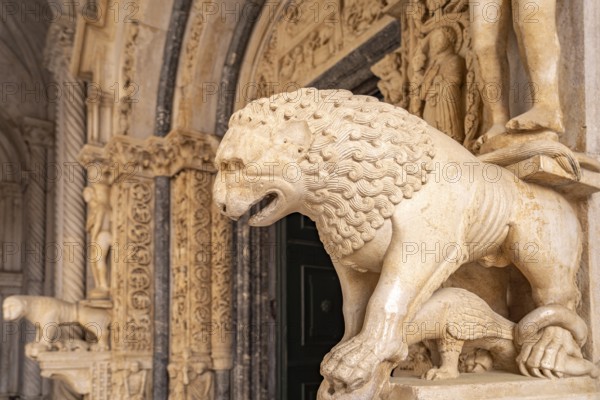 Lion at Radovan's portal of the Cathedral of St Lawrence in Trogir, Croatia, Europe