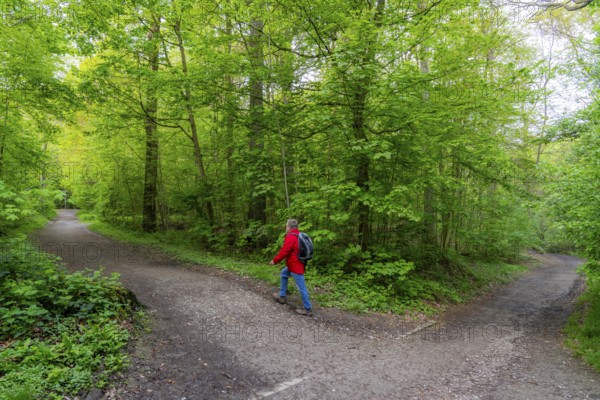 Symbolic image Hiking with smartphone and hiking app, navigation on hiking trails, digital hiking map with navigation, Komoot app, pre-programmed routes, GPS guides you precisely along the planned route, North Rhine-Westphalia, Germany, Europe
