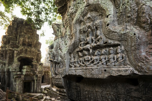 Ta Prohm, Angkor Wat, Angkor, UNESCO World Heritage Site, Siem Reap, Cambodia, Indochina, Southeast Asia, Asia