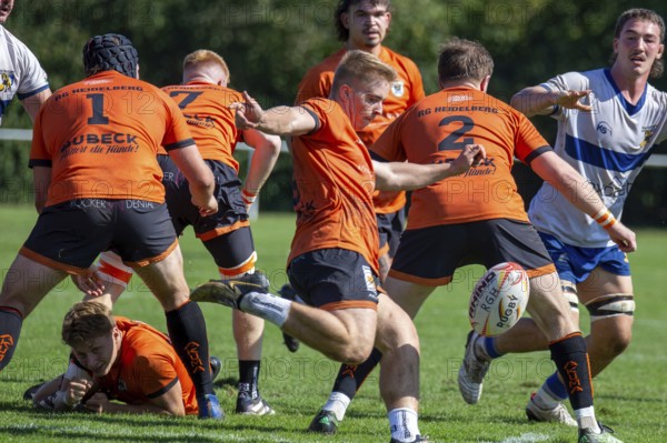 07.09.2024, Rugby 1st Bundesliga South/West, Season 2024/25, Matchday 1: RG Heidelberg vs TSV Handschuhsheim